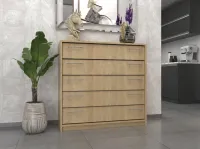 Lenyilós cipősszekrény 2